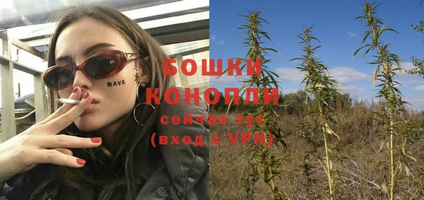 PSILOCYBIN Тавда