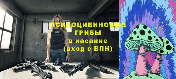 таблы Белокуриха
