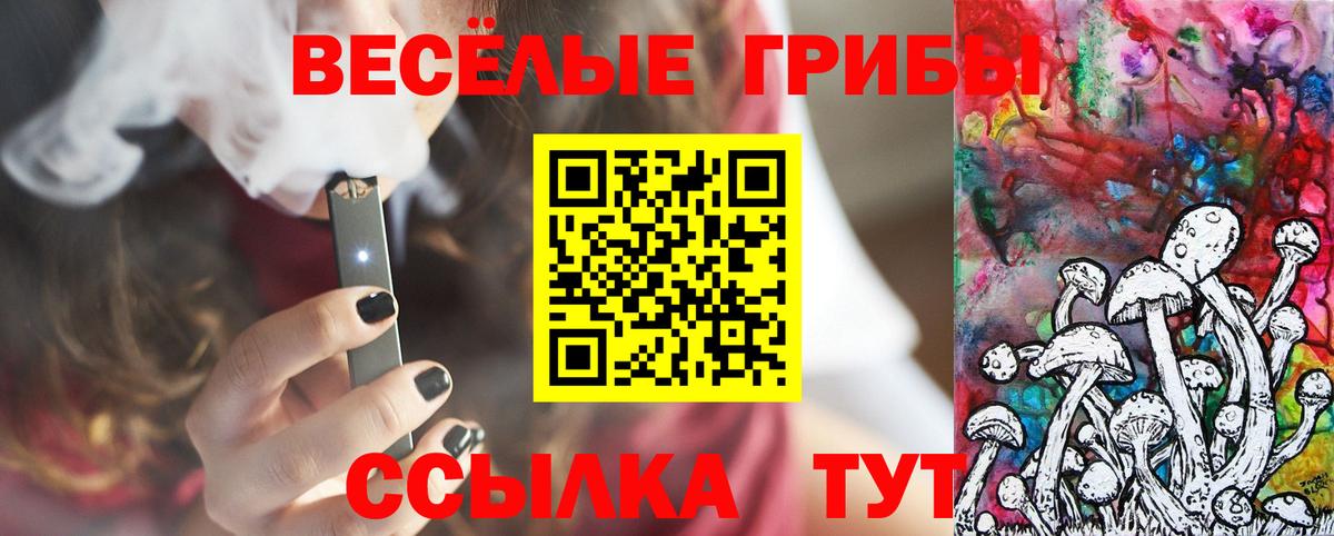 Воскресенск  Галлюциногенные грибы прущие грибы  Вход с VPN 